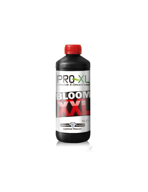 Bloom xxl