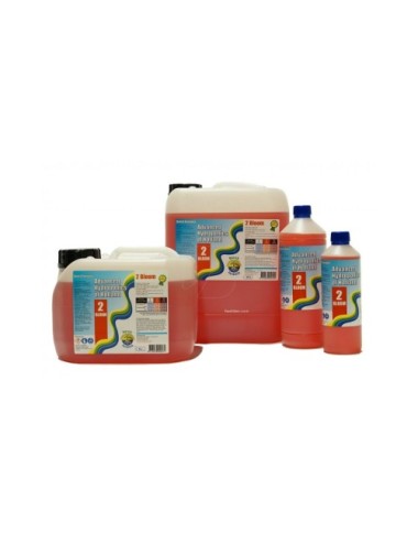 Dutch formula bloom 2
