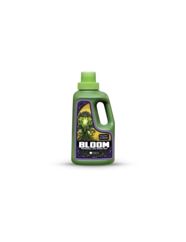 Bloom prof 3 part