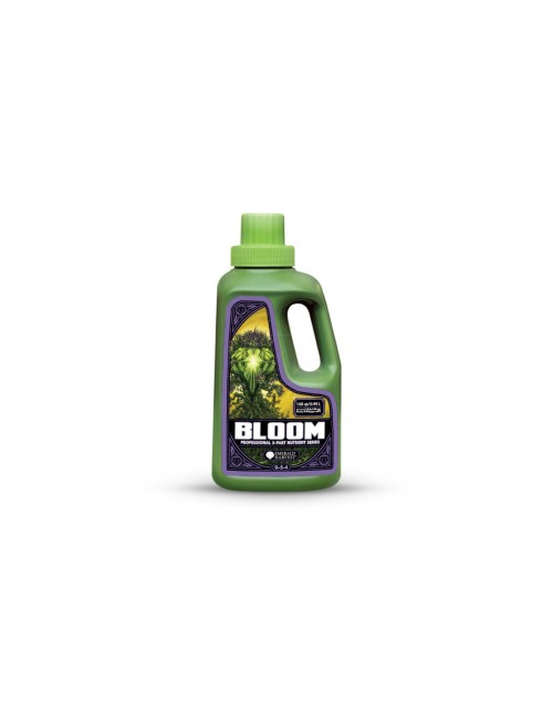 Bloom prof 3 part