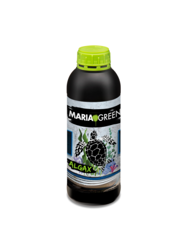 Algax maria green