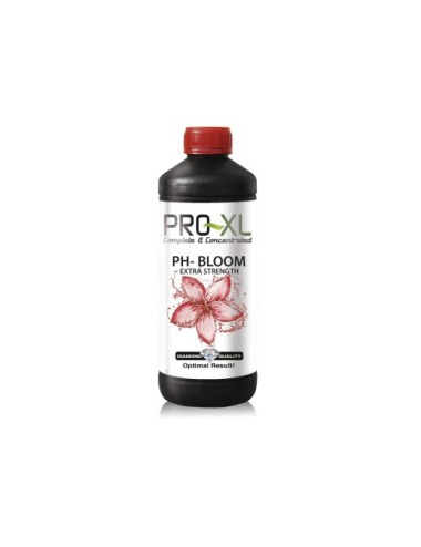 Ph - bloom