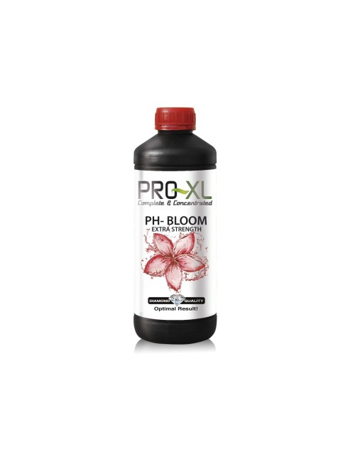 Ph - bloom