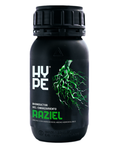 Raziel