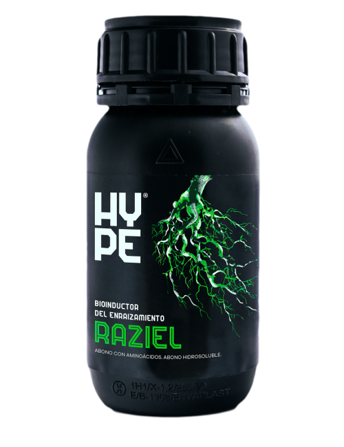 Raziel