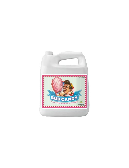 Bud candy