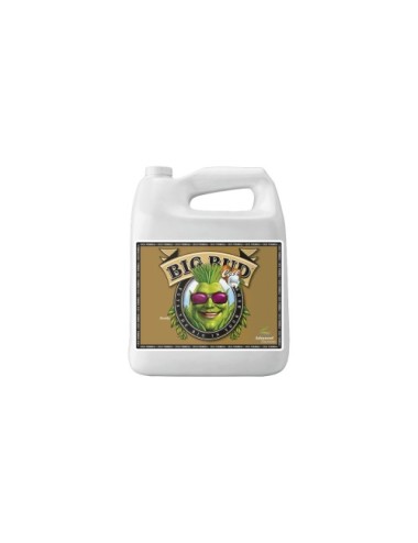 Big bud coco liquid