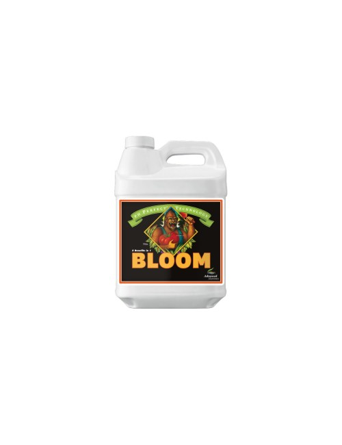 Ph perfect bloom