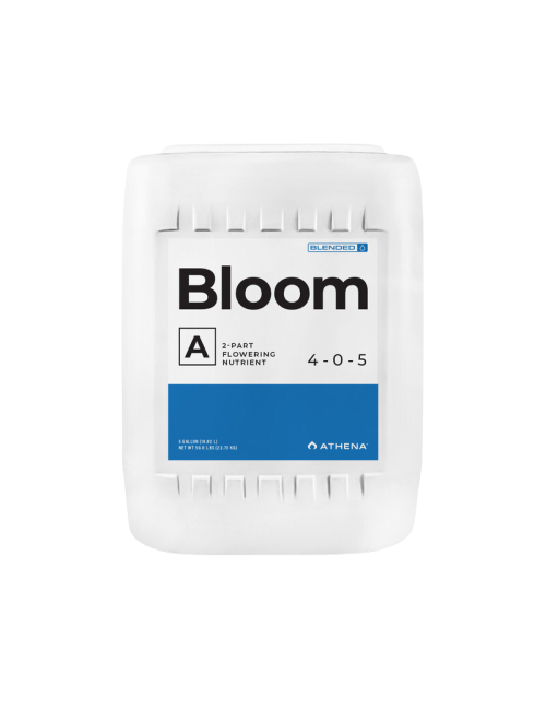 Bloom a
