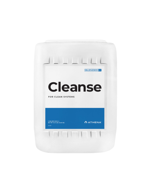 Cleanse