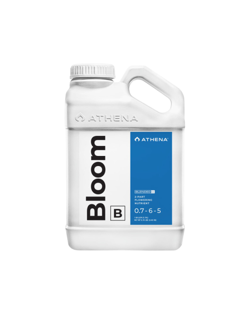 Bloom b