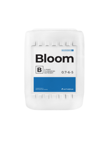Bloom b