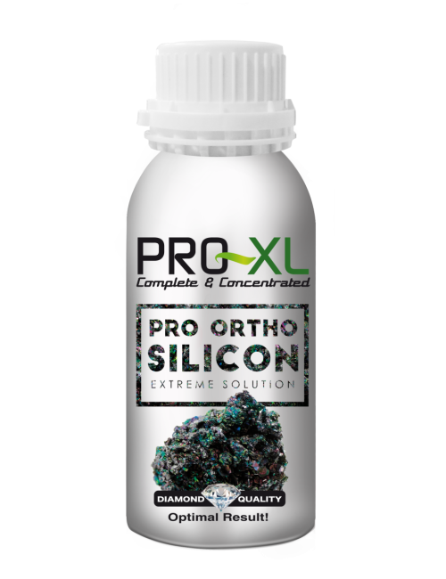 Pro-ortho silicon