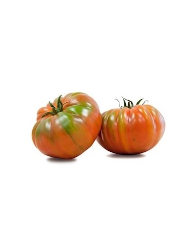 Tomate marmande (raf)