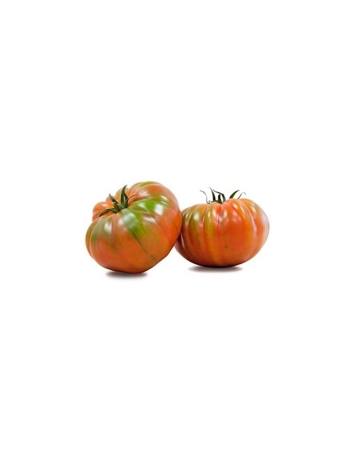 Tomate marmande (raf)