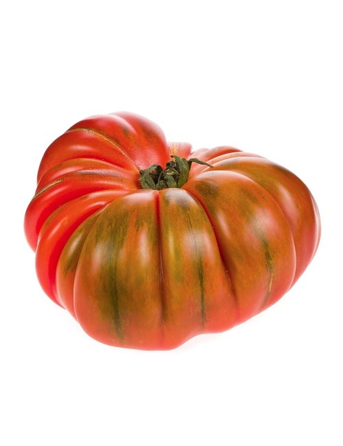 Tomate marmande (raf)