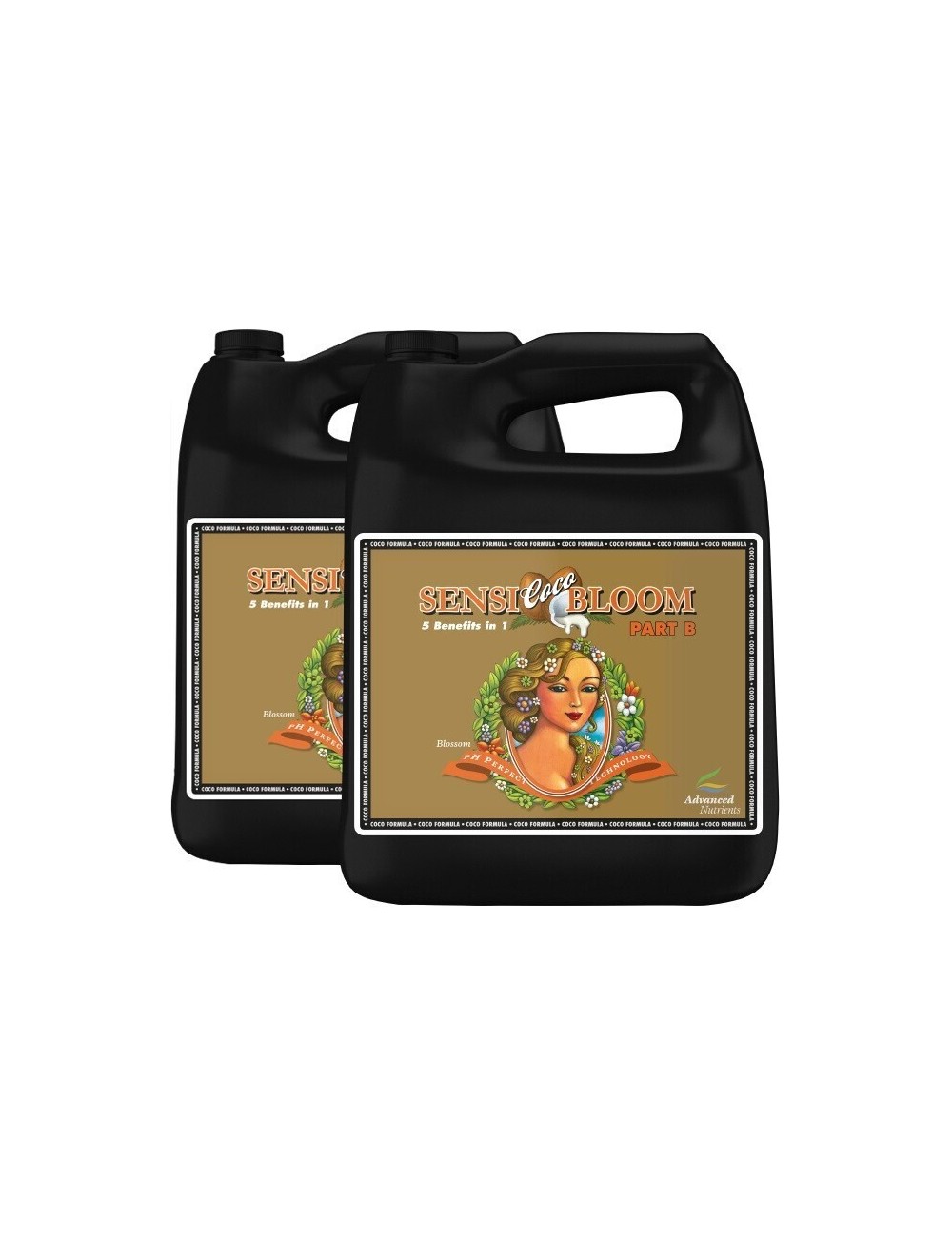 Php conni coco bloom b 5 l