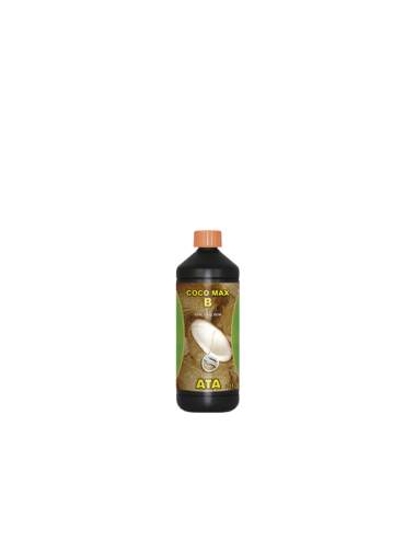 Coco max b