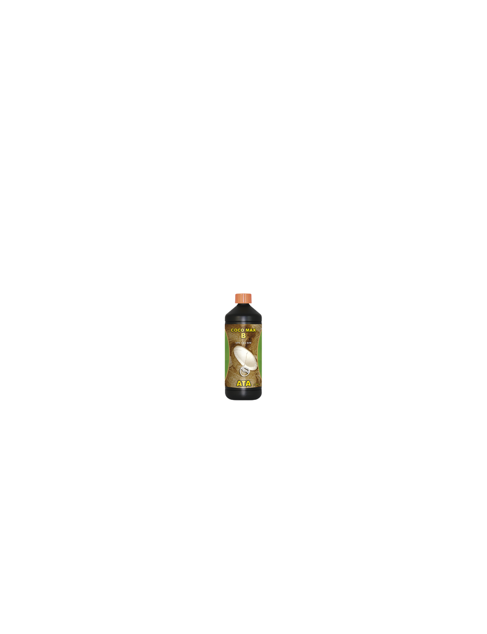 Coco max b