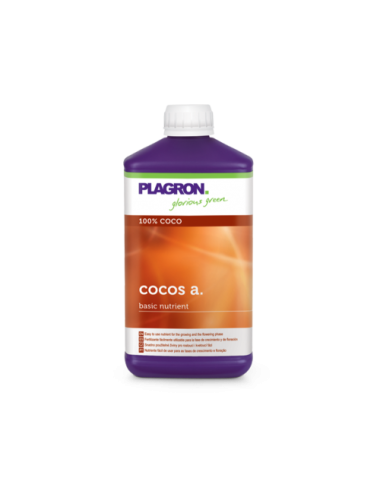 Coco a