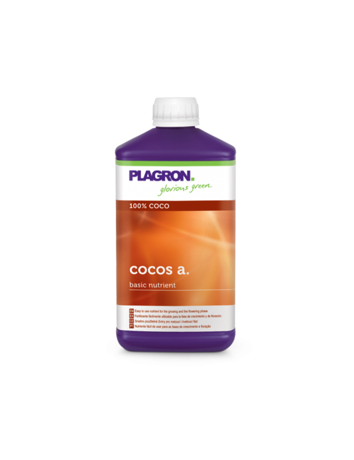 Coco a
