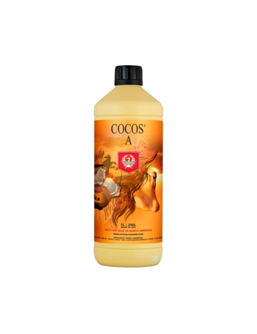 Coco a h&g