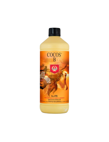 Coco b h&g