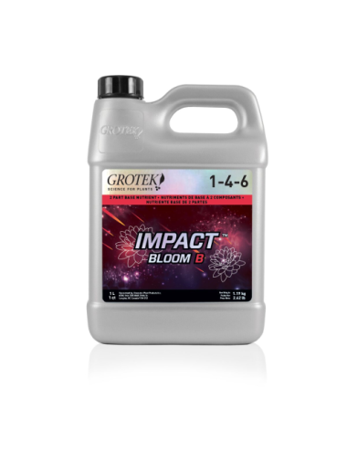 Impact bloom b