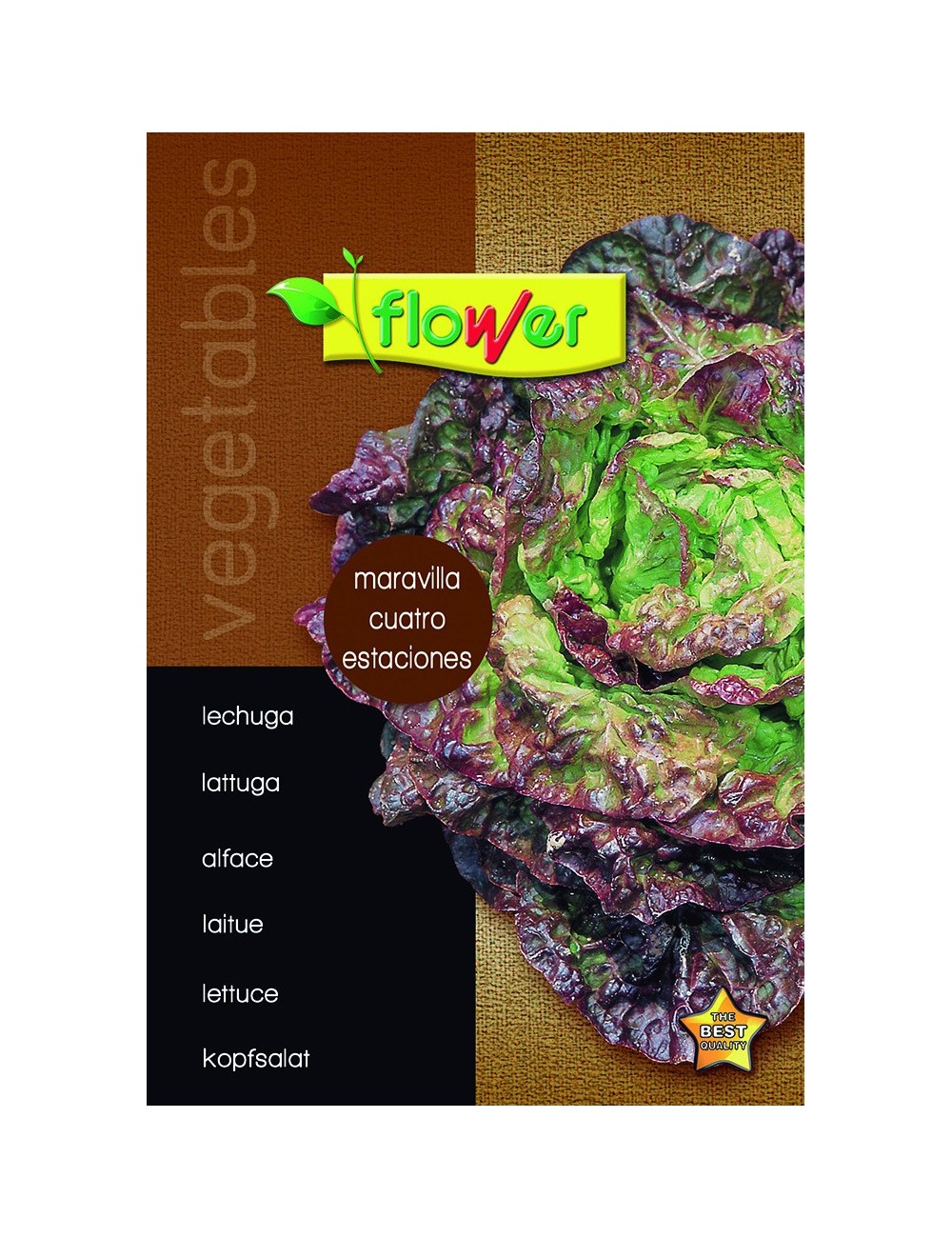 Lechuga maravilla 4 estaciones