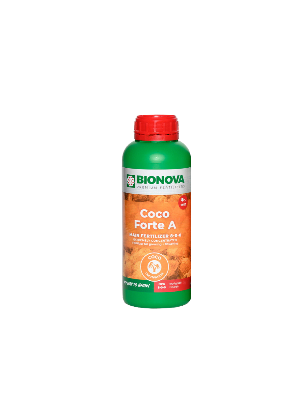 Coco forte a