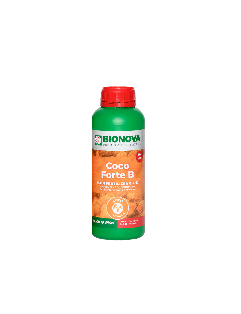 Coco forte b