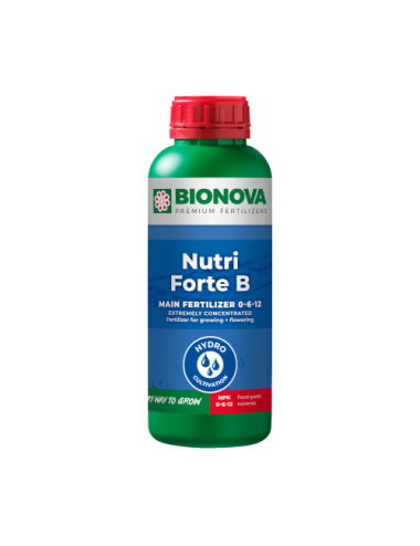 Nutri forte b
