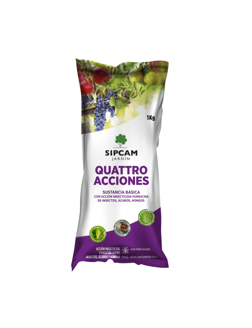 Quattro acciones