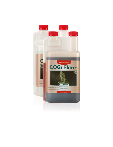 Cogr flores b