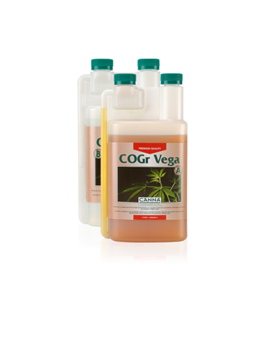 Cogr vega b