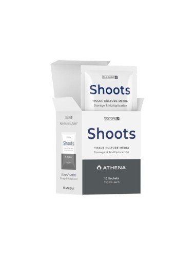 Shoots culture media