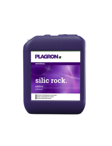 Silic rock