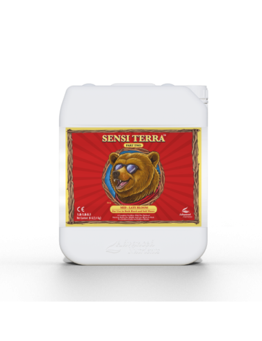 Sensi terra part two