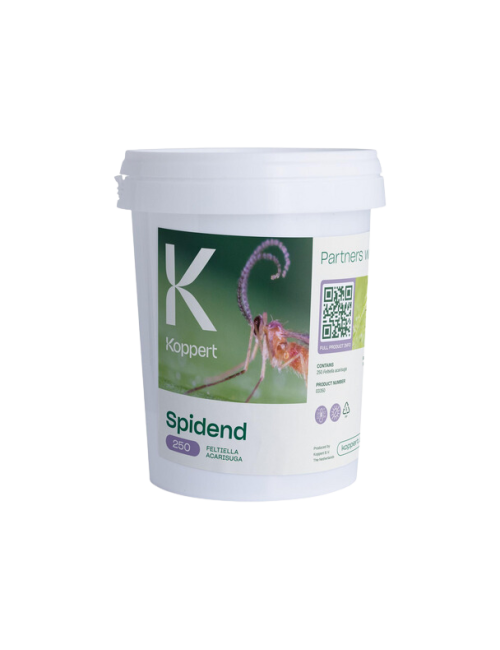 Spidend 250 cubo 550 ml