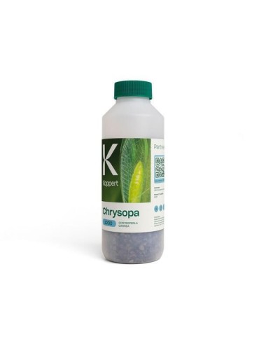 Chrysopa