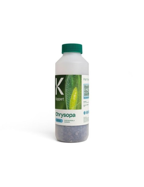 Chrysopa