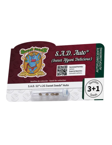 S.a.d. auto