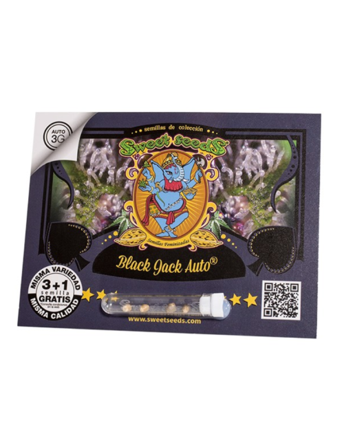 Black jack auto