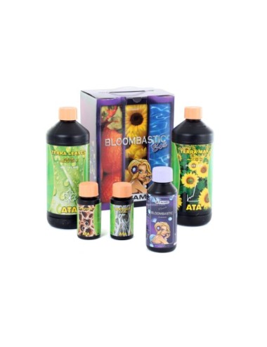 Ata/terra bloombastic box