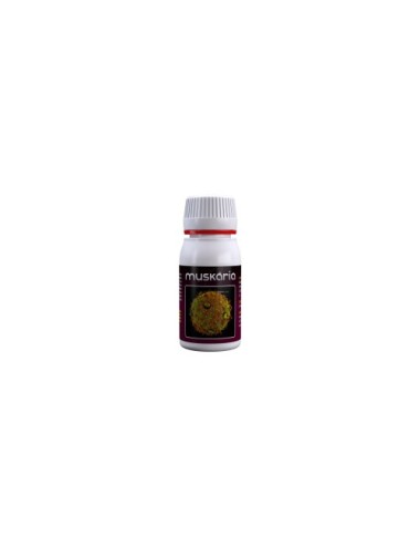 Muskaria 60 ml