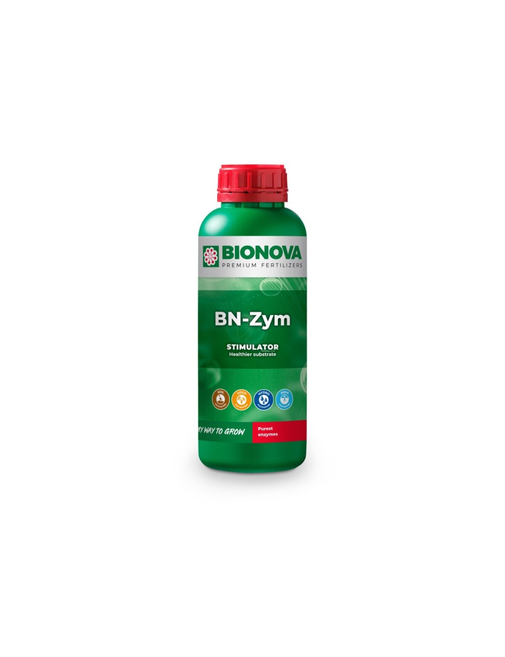 Bn-zym