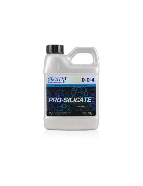 Pro-silicate(TM)