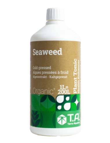 Seaweed