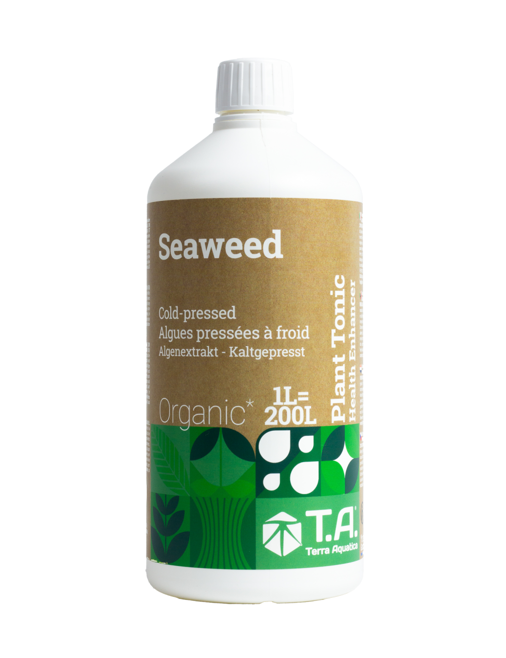 Seaweed