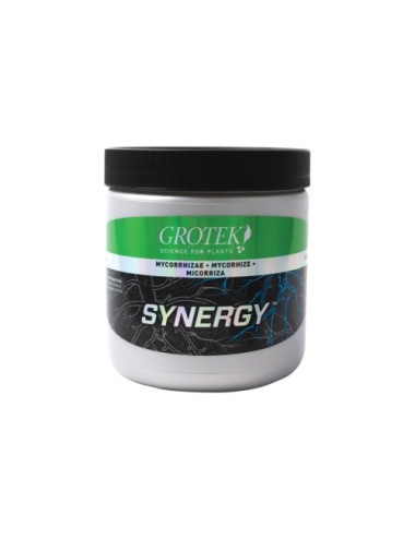 Synergy(TM)